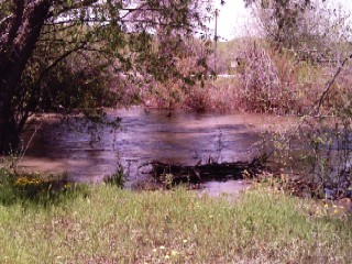 My Fishin Hole